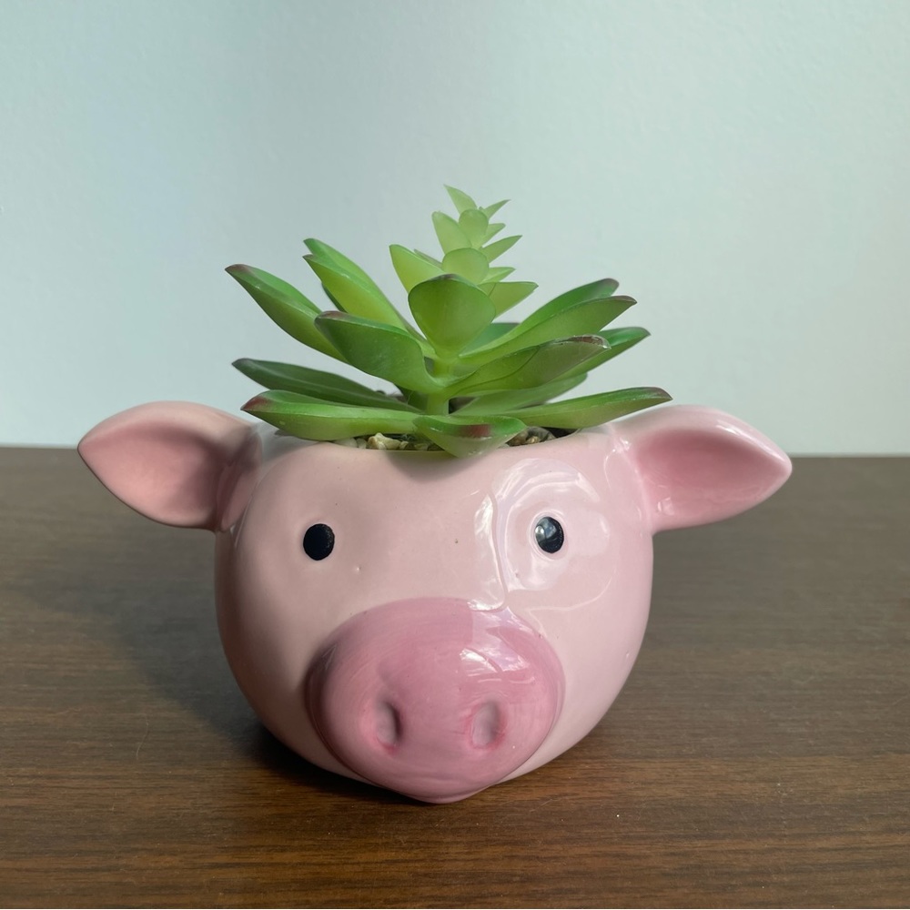 Forever 21 Faux Succulent In Ceramic Pig Planter